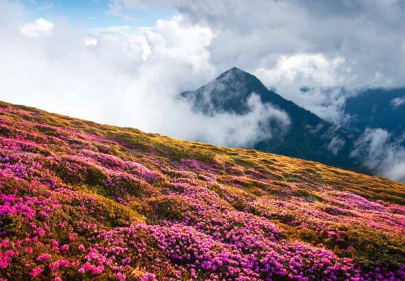 Fukushima Prefecture Air Quality
